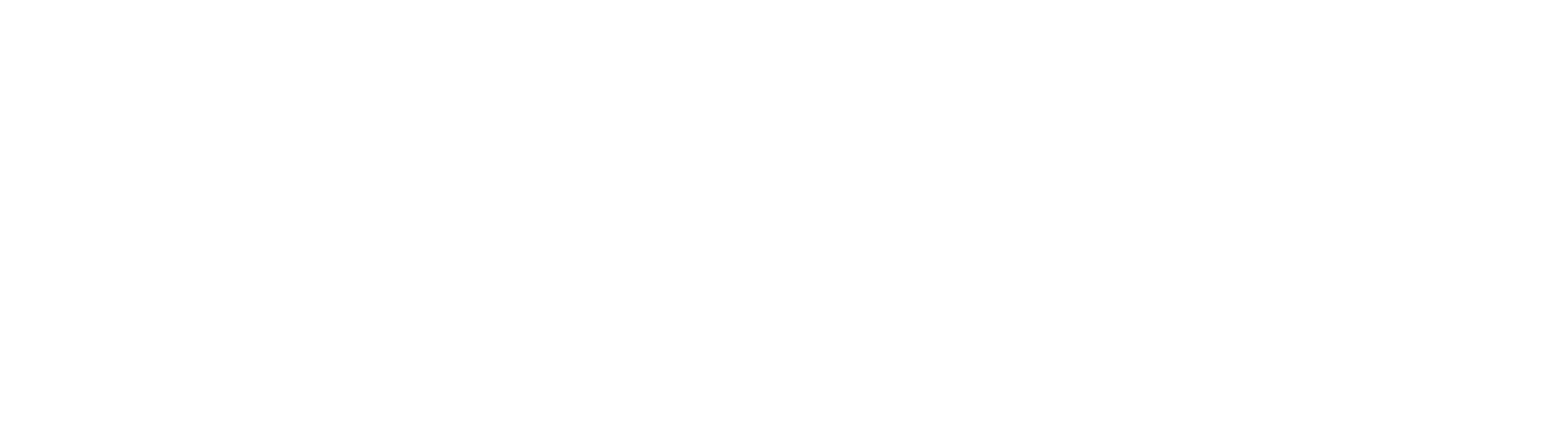 Jack Wolfskin Logo